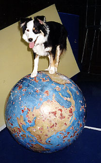 Bonzer Walking the Globe