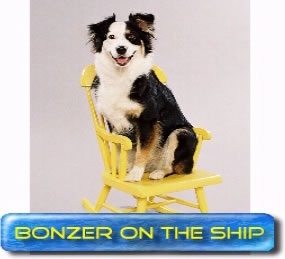 Bonzer on the Ship