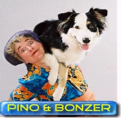 Pino & Bonzer